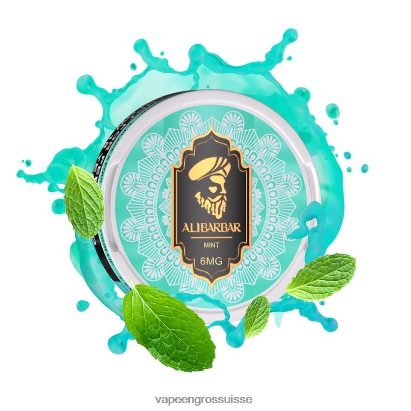Vapoteuse En Gros - menthe 82F24252 ALIBARBAR pochette de nicotine