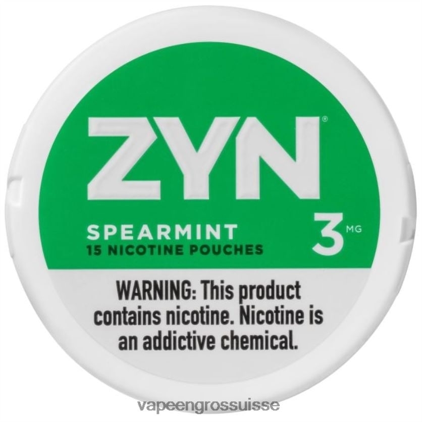 Cigarette Électronique Genève - menthe verte 82F24225 ZYN sachet de nicotine 3mg