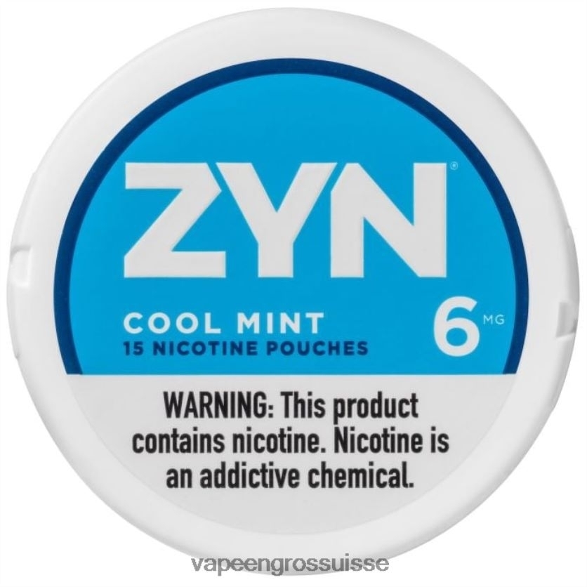 Vape En Gros - menthe fraîche 82F24216 ZYN sachet de nicotine 6mg