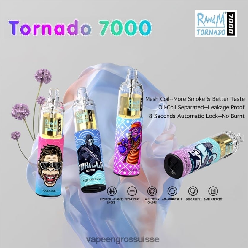 Vape En Gros Suisse - jetable 82F2421 RandM Tornado 7000 5%