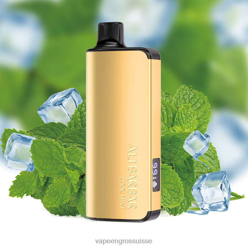 Vape Genève - Alibarbar Ingot 9000 vapes jetables menthe fraîche V084P18