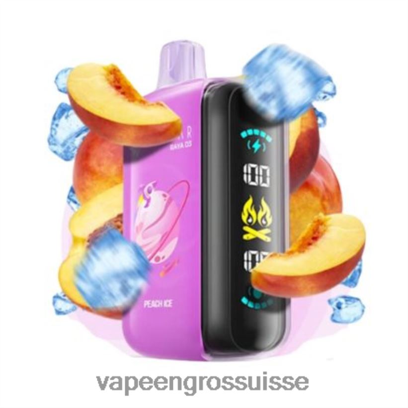 Vape En Gros Suisse - jetable Elf Bar Raya D3 25000 L6J2J61