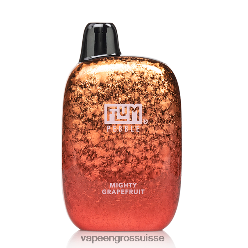 E Liquide Suisse - FLUM PEBBLES 6000 bouffées pamplemousse puissant 0JD84236