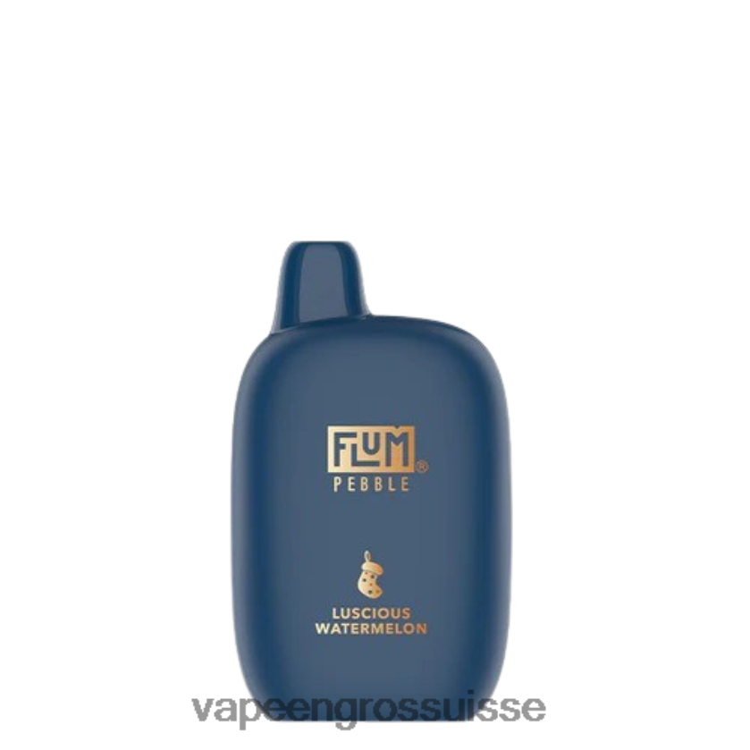Eliquide En Gros - FLUM PEBBLES 6000 bouffées (édition de Noël) pastèque succulente 0JD8427