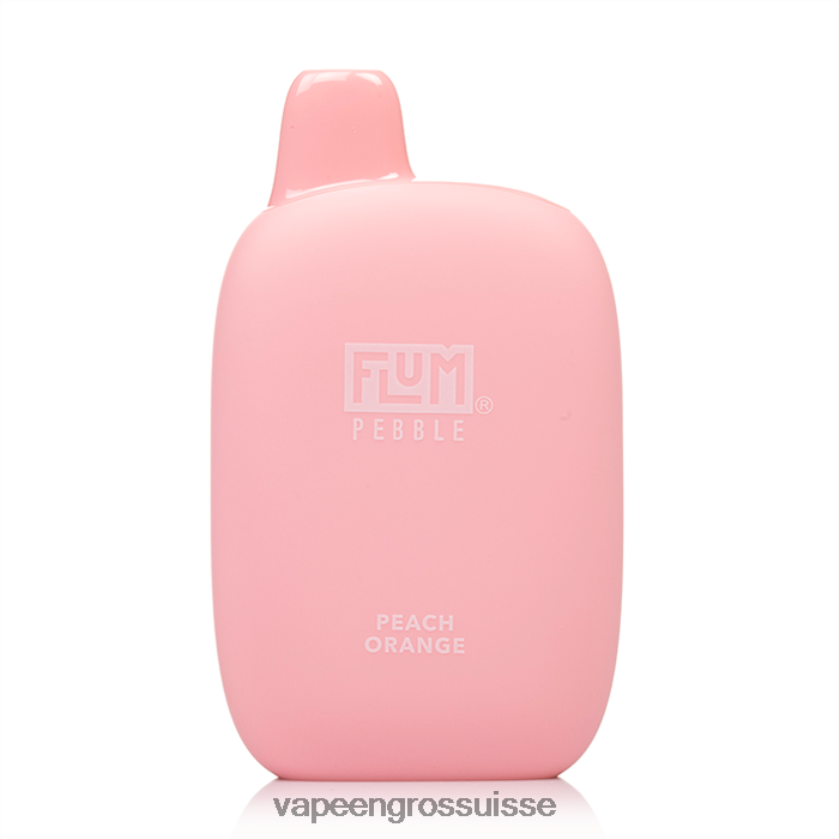 Magasin Vape Genève - FLUM PEBBLES 6000 bouffées pêche orange 0JD84239