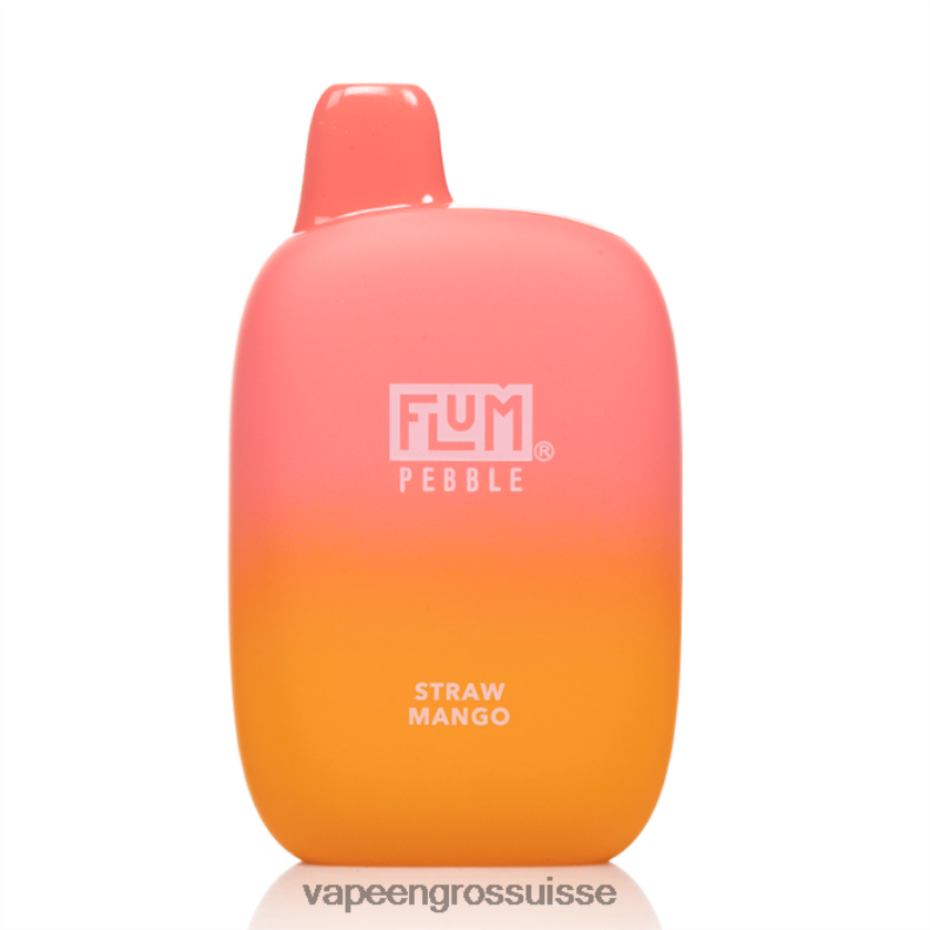 Stylo Vape Jetable - FLUM PEBBLES 6000 bouffées mangue paille 0JD84243