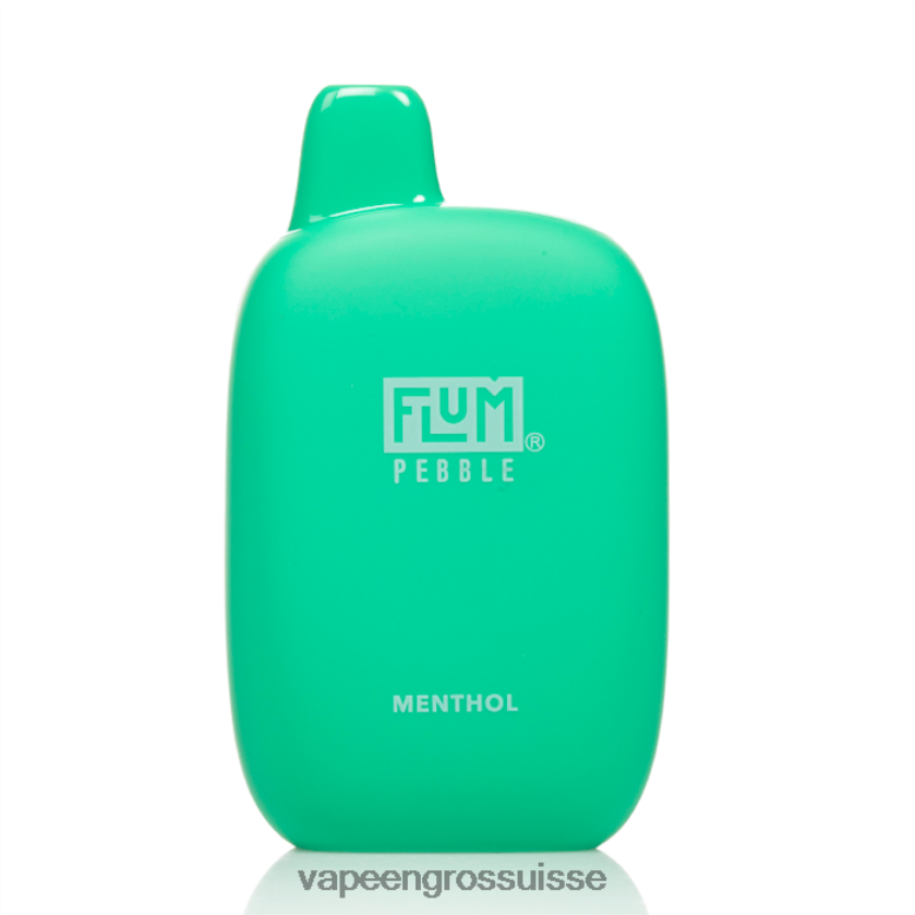 Vape En Gros - FLUM PEBBLES 6000 bouffées menthol 0JD84235