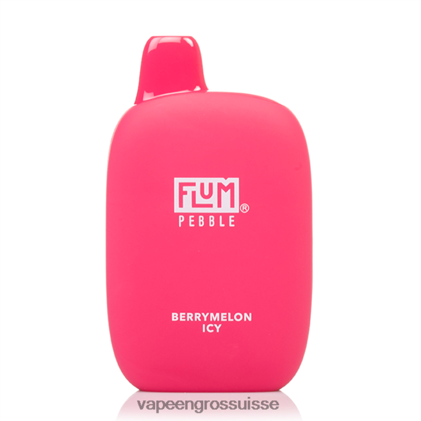 Vape En Gros Suisse - FLUM PEBBLES 6000 bouffées melon glacé 0JD84216
