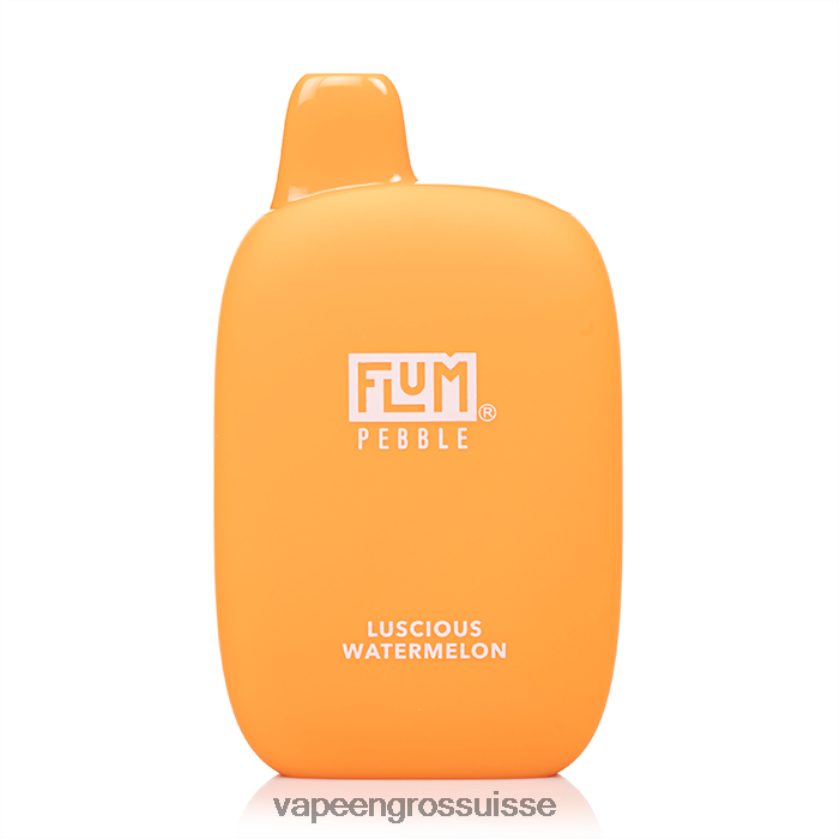 Vape En Gros Suisse - FLUM PEBBLES 6000 bouffées pastèque succulente 0JD84231