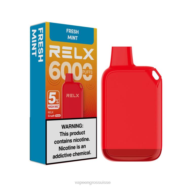 Vape En Gros Suisse - menthe fraîche RELX Crush Pocket 6000 5 % de nic élevé 2206P29