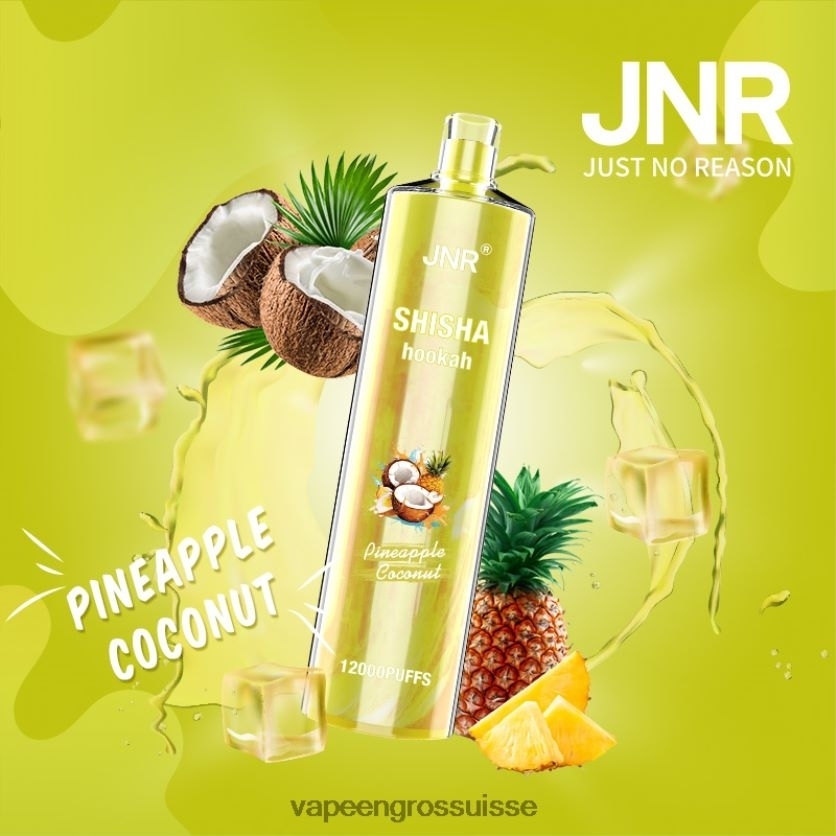 Cigarette Electronique En Gros - ananas noix de coco 82F242686 JNR SHISHA