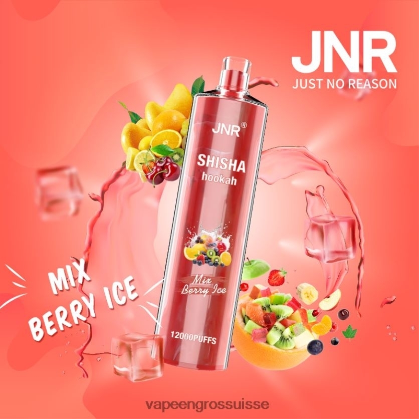 Cigarette Électronique Genève - mélanger la glace aux baies 82F242685 JNR SHISHA