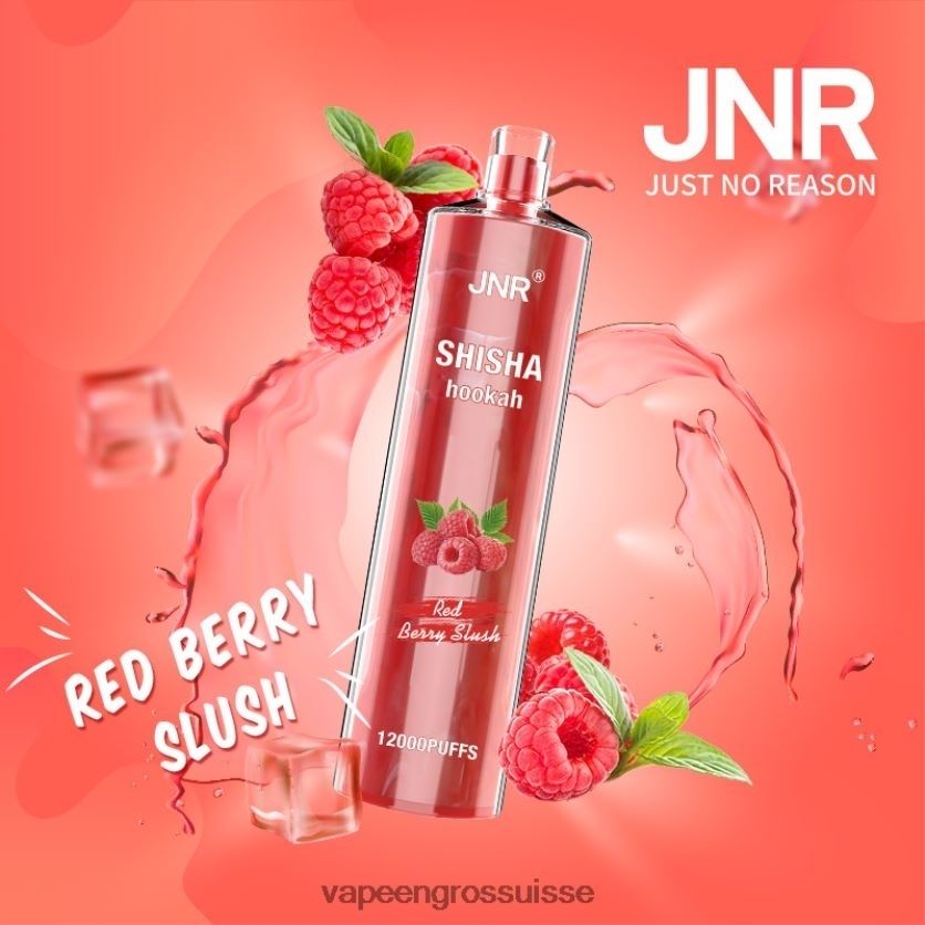 Vape En Gros - barbotine aux fruits rouges 82F242687 JNR SHISHA