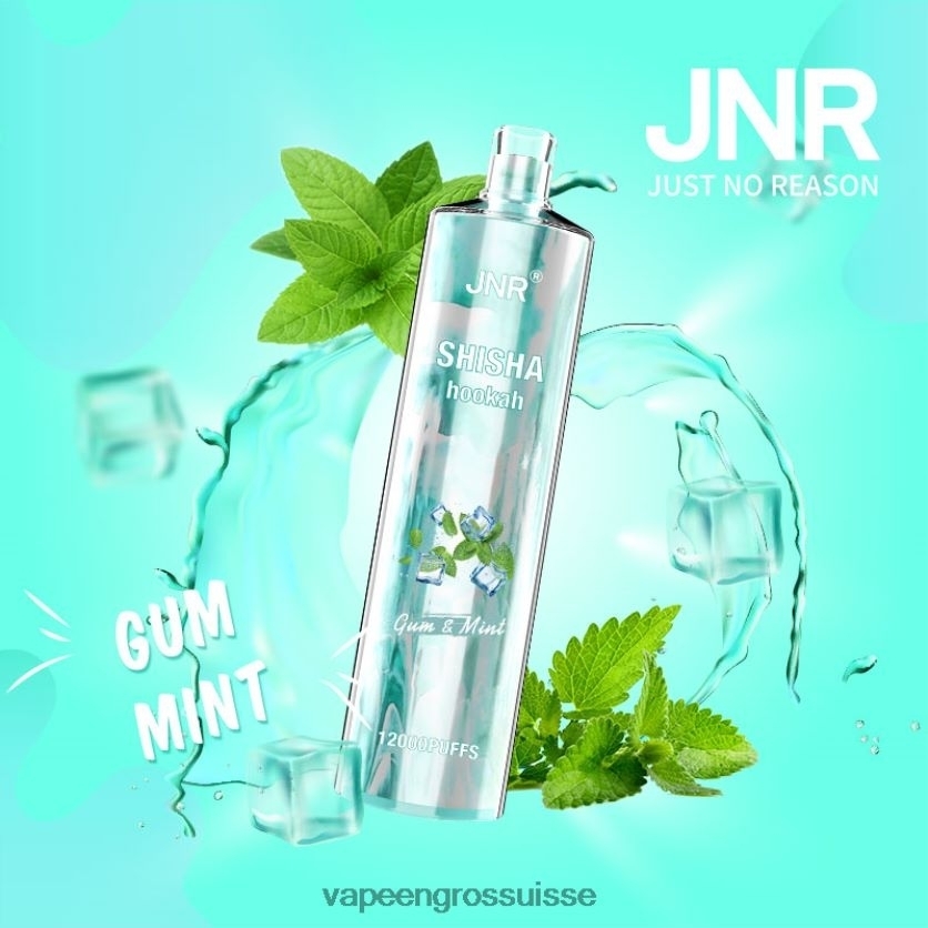 gomme à la menthe