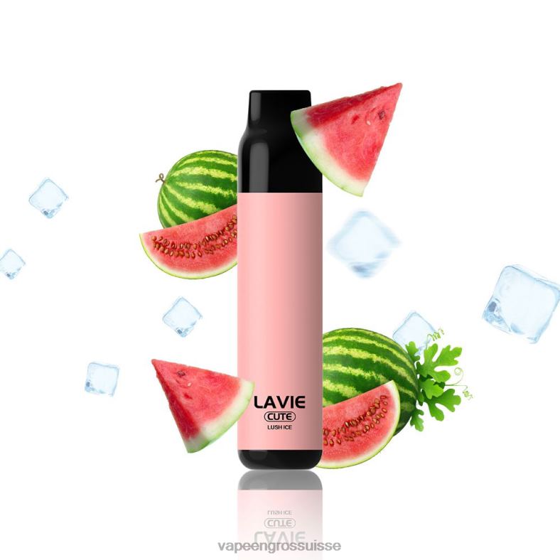 Vape En Gros - glace luxuriante LAVIE BAR 3000 bouffées 0TDZX285