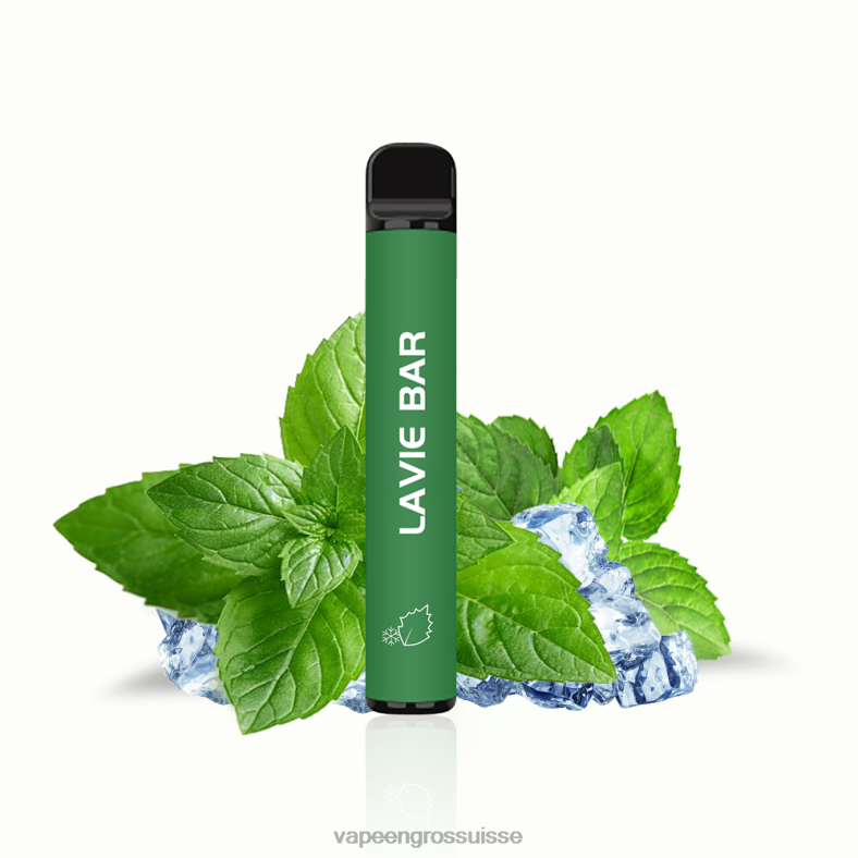 Vaporizer Zurich - menthe fraîche LAVIE BAR Version 2% 800 bouffées 0TDZX320