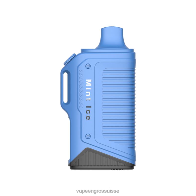 Vape Genève - glace à la menthe LAVIE Energy Box 15000 bouffées 0TDZX72