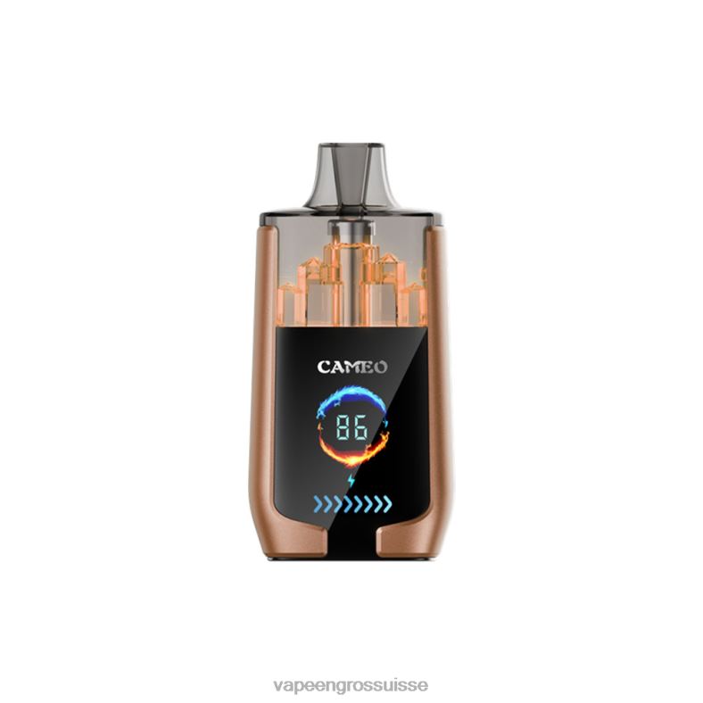 Cigarette Electronique En Gros - glace au café LAVIE CAMEO 30000 bouffées 0TDZX18