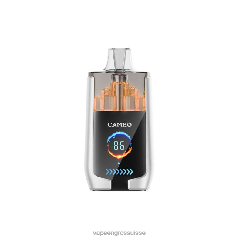 Cigarette Électronique Genève - glace à la poire LAVIE CAMEO 30000 bouffées 0TDZX17