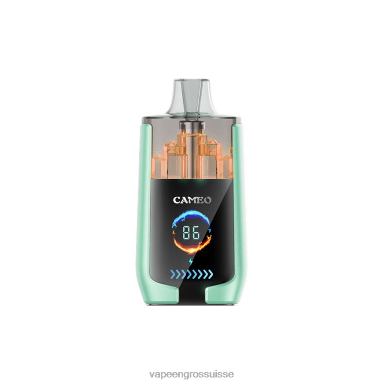 E Liquide Suisse - double pomme LAVIE CAMEO 30000 bouffées 0TDZX20