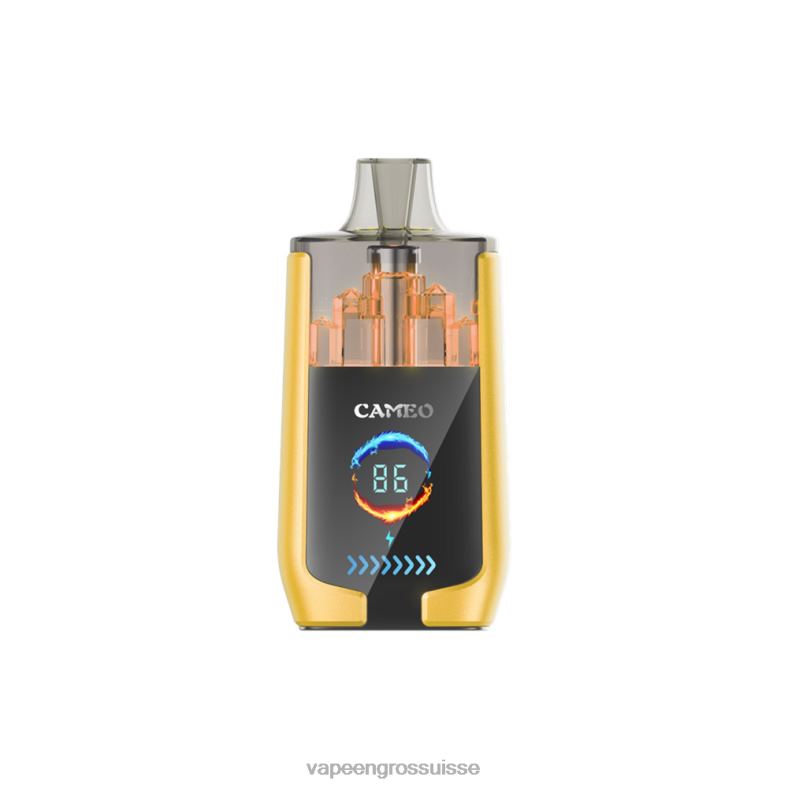 Eliquide En Gros - glace à la mangue LAVIE CAMEO 30000 bouffées 0TDZX21