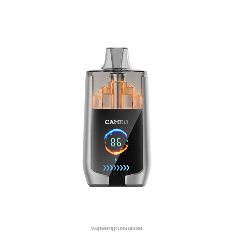 Vape En Gros Suisse - glace aux myrtilles LAVIE CAMEO 30000 bouffées 0TDZX15