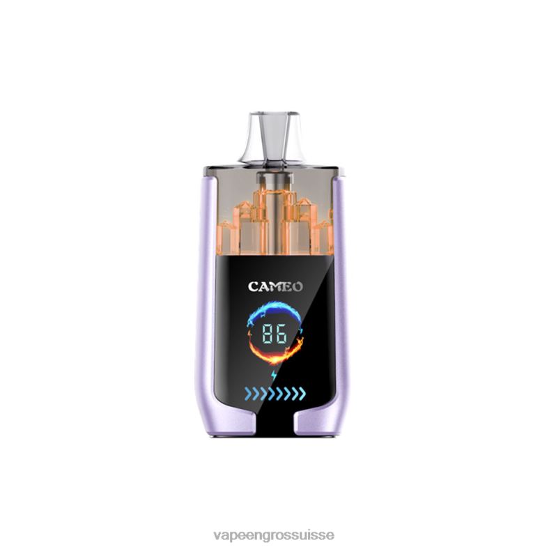Vape Genève - glace aux raisins LAVIE CAMEO 30000 bouffées 0TDZX16