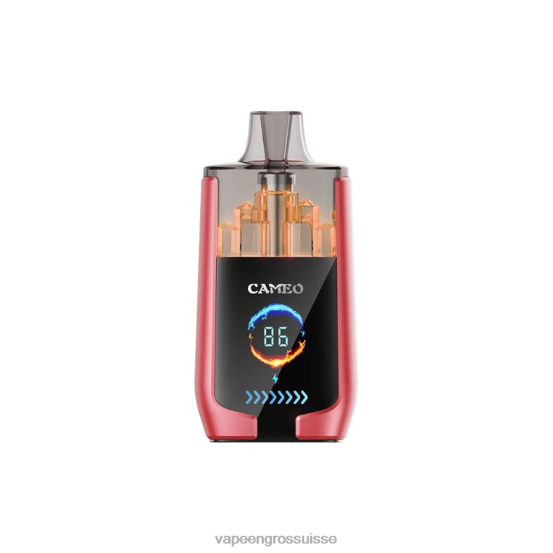 Vape Jetable Prix - glace à la pastèque LAVIE CAMEO 30000 bouffées 0TDZX14