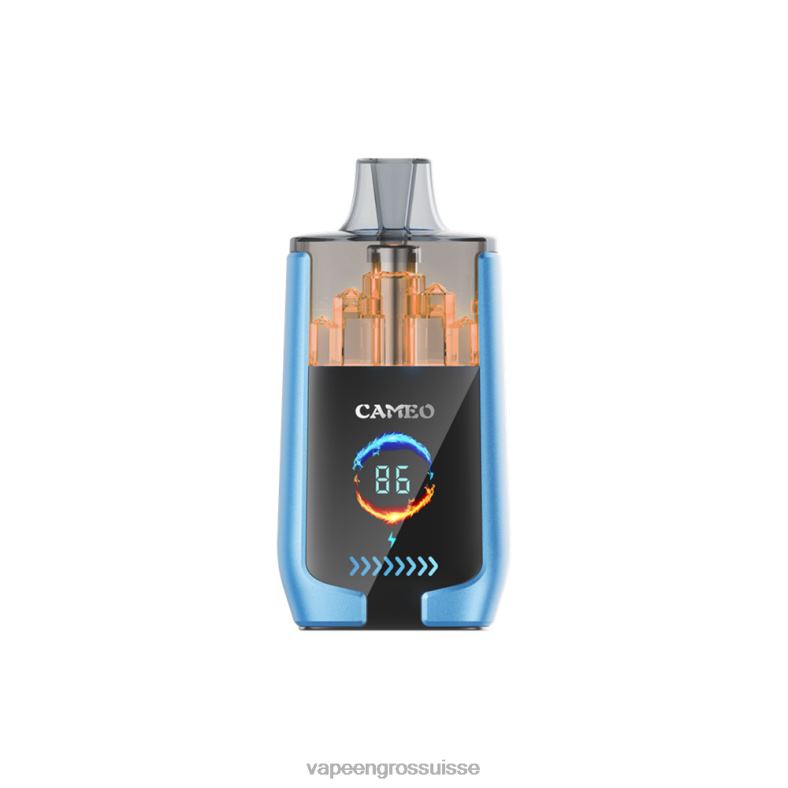 Vape Jetable Suisse - glace à la fraise LAVIE CAMEO 30000 bouffées 0TDZX13