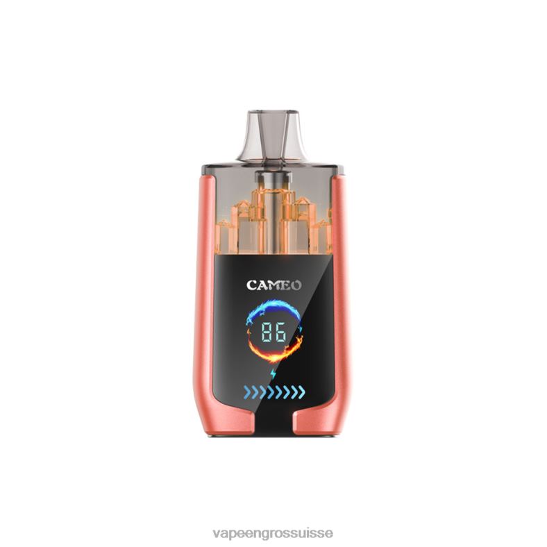 Vape Suisse Pas Cher - pastèque fraise LAVIE CAMEO 30000 bouffées 0TDZX24