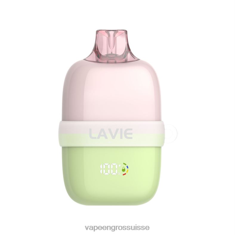 Cigarette Électronique Genève - glace aux raisins verts LAVIE INSIDER 12000 bouffées 0TDZX87