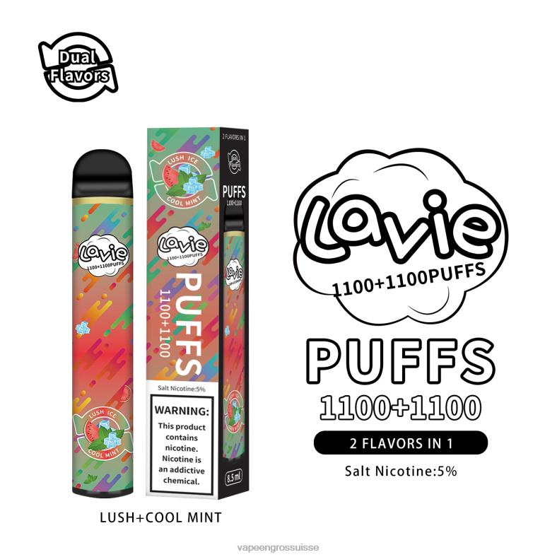 Vape Jetable Prix - menthe luxuriante/fraîche LAVIE BAR Switch 2200 bouffées 0TDZX294