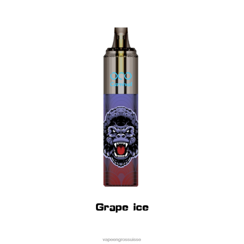 Vape Jetable Prix - glace aux raisins LAVIE OCO carnaval 10000 bouffées 0TDZX350