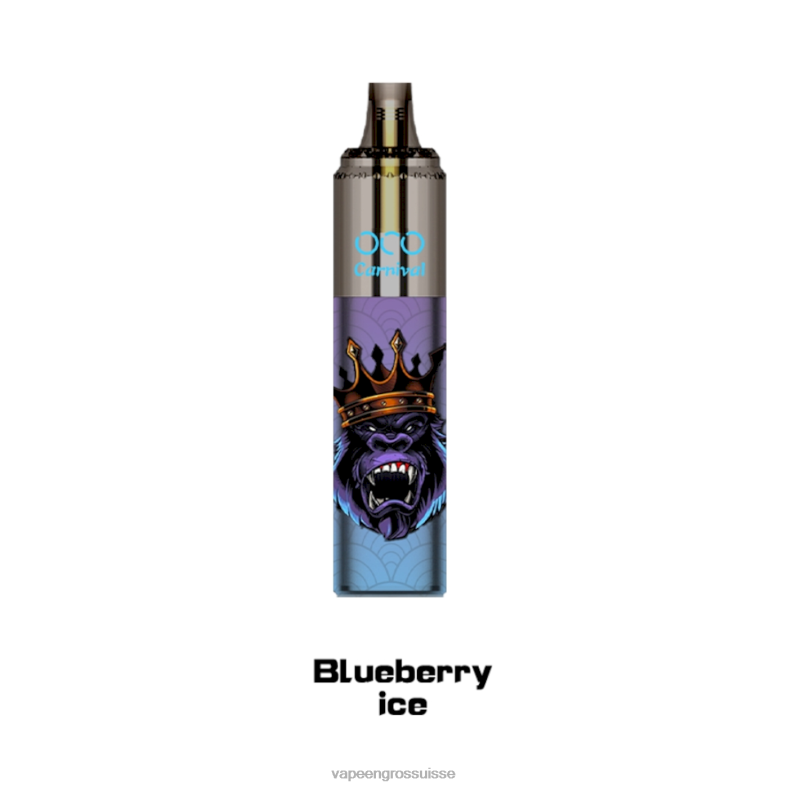 Vape Jetable Suisse - glace aux myrtilles LAVIE OCO carnaval 10000 bouffées 0TDZX349