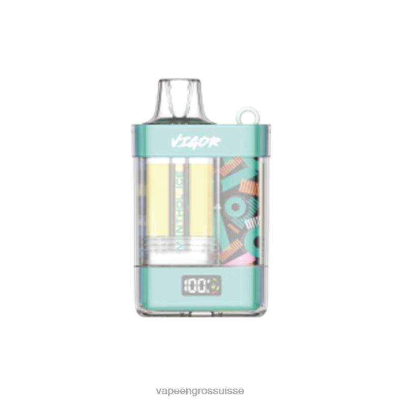 Vape Genève - glace mentholée LAVIE VIGOR 15000 bouffées 0TDZX2