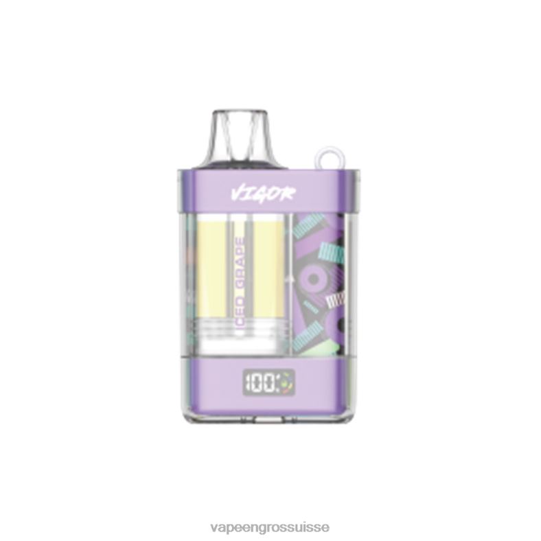Vapoteuse En Gros - raisin glacé LAVIE VIGOR 15000 bouffées 0TDZX8