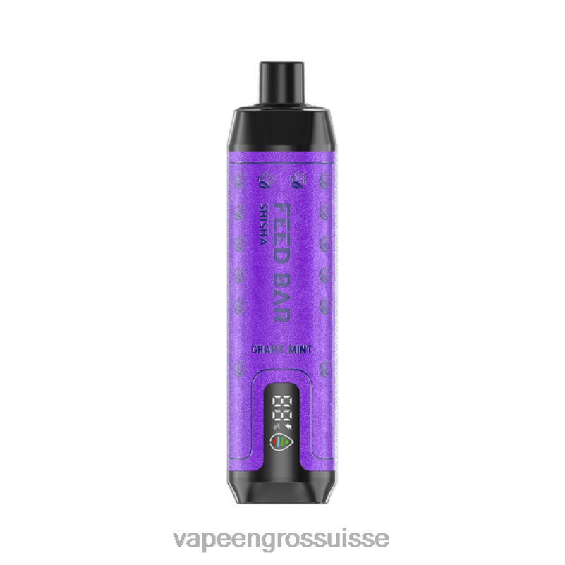 Cigarette Electronique En Gros - Vapsolo SHISHA vape jetable menthe raisin V084P100