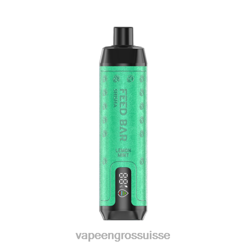 Vape En Gros - Vapsolo SHISHA vape jetable menthe citronnée V084P101