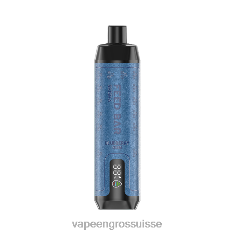 Vape Genève - Vapsolo SHISHA vape jetable gomme de myrtille V084P98