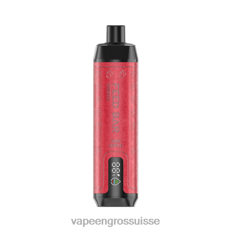 Vape Suisse Pas Cher - Vapsolo SHISHA vape jetable deux pommes V084P106