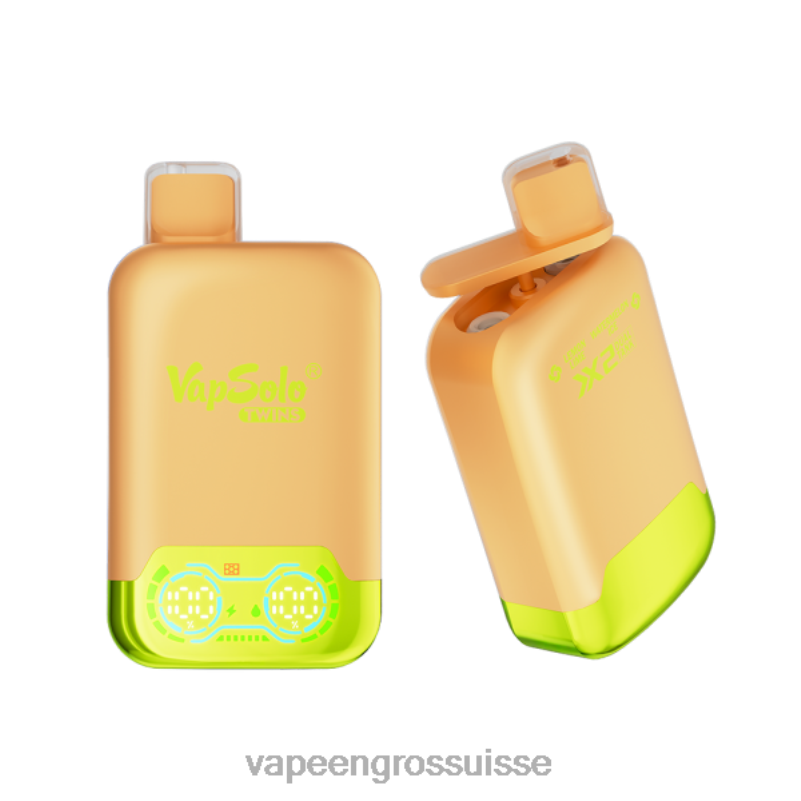 Vapotage Suisse - Vapsolo TWINS vape jetable glace citron vert & pastèque V084P123