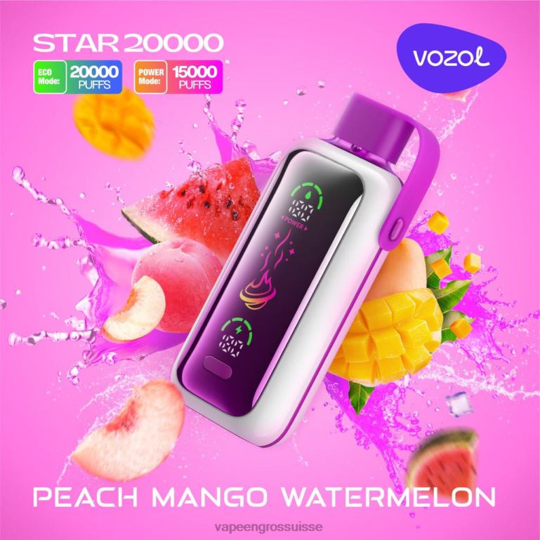 Vape Saveur Sans Nicotine - pêche, mangue, pastèque VOZOL STAR 20000 6LX6N16