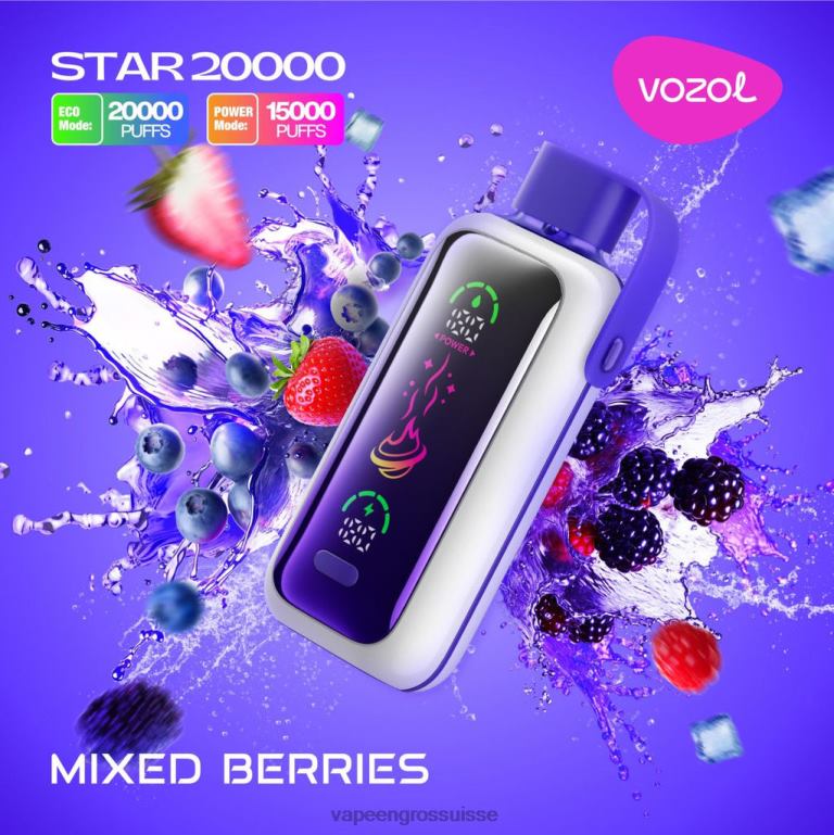 Vaporizer Zurich - baies mélangées VOZOL STAR 20000 6LX6N14