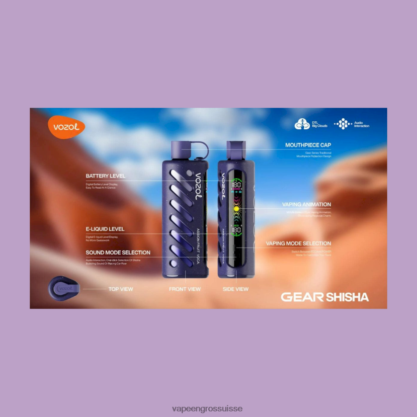 Vape En Gros Suisse - VOZOL engrenage chicha 25000 multi 0JD8421