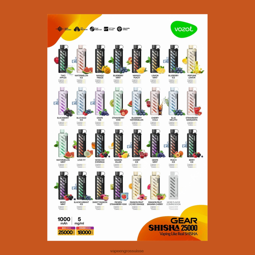 Vape En Gros Suisse - VOZOL engrenage chicha 25000 multi 0JD8421