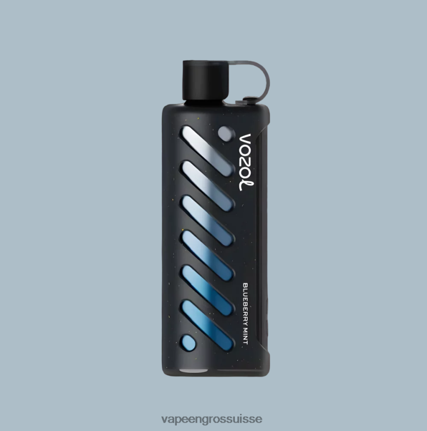 Vape En Gros Suisse - VOZOL engrenage chicha 25000 multi 0JD8421