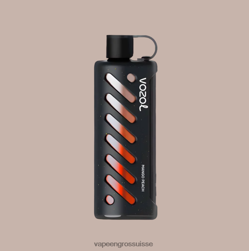 Vape En Gros Suisse - VOZOL engrenage chicha 25000 multi 0JD8421