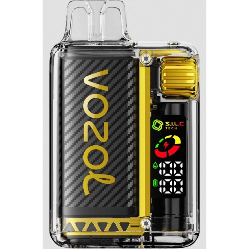 Vape Suisse Pas Cher - glace à la mangue 82F24210 VOZOL VISTA 16 000/20 000 5%