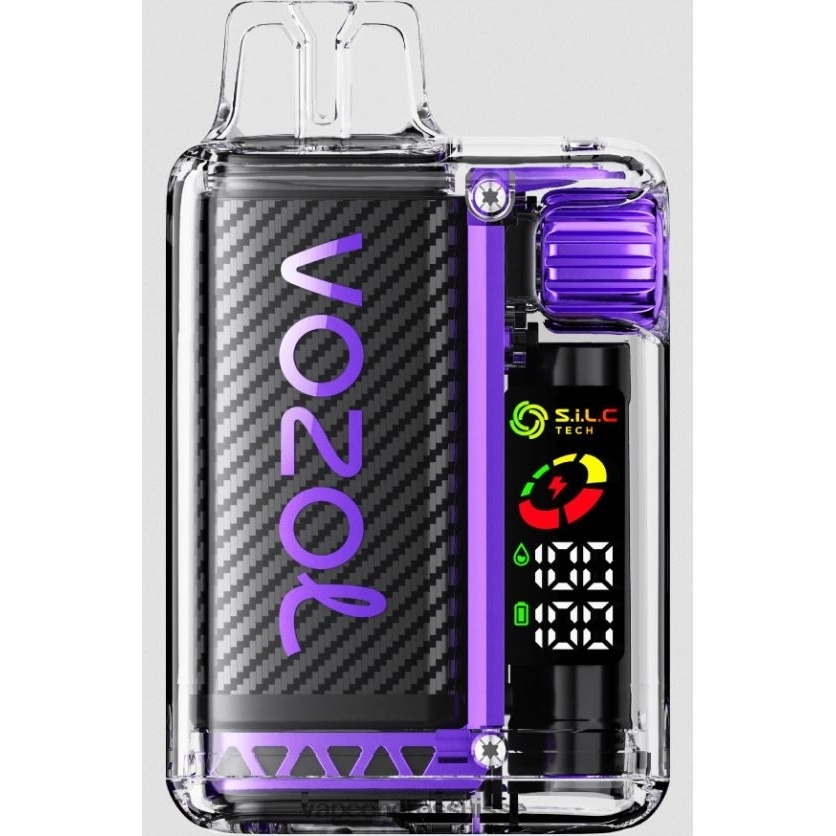 Vapotage Suisse - Baies mélangées 82F24211 VOZOL VISTA 16 000/20 000 5%